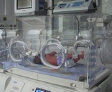 Image Image